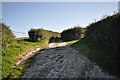 Pind Lane near Winsham