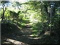 North Downs Way and Saxon Shore Way to Shearins Bungalow