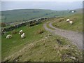 Track to Mount Pleasant Farm