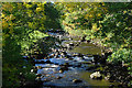 The Afon Lliw above Dolhendre bridge