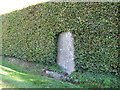 Tank trap reminder in hedge at Beeches Farm