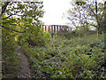 Footpath Approaching Pilkington