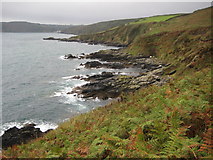 SW7924 : Coast to the north of Porthallow by Philip Halling
