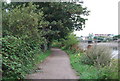 Thames Path approaching Hammersmith Bridge