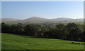 Field descending to River Lune