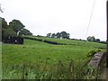 Fields next to the brook to the west of Milltown