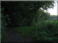 Bridleway and track junction near Oaken Wood