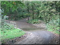 Ford in the woods west of Affeton Barton