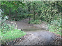 SS7413 : Ford in the woods west of Affeton Barton by Sarah Charlesworth
