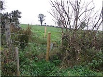 H4481 : Reaghan Townland by Kenneth  Allen