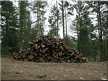 SS7413 : Timber stack in the woods west of Affeton Barton by Sarah Charlesworth