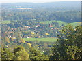 Albury from St Martha