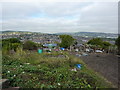 Allotments with a view