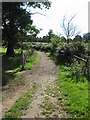 Greensand Way across the Alders