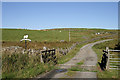 The farm road to Glenshimmeroch