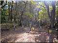 Path And Gate To Hopwood Woods Nature Reserve