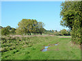 SO8498 : Farmland near Great Moor, Staffordshire by Roger  D Kidd