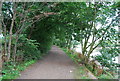 The Thames Path, Riverside