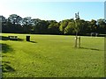 Butts Meadow, Berkhamsted