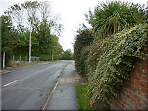 TA3122 : Humber Lane,Patrington by Ian S