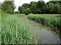 River Waveney