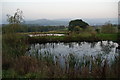 Fishing ponds at Hargate Hill Farm