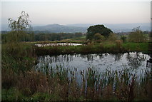 SK0193 : Fishing ponds at Hargate Hill Farm by Bill Boaden