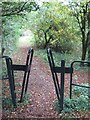 Squeeze gate near Walderslade Woods