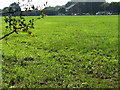 Rugby pitches on recreation ground in Manor Park, Uckfield