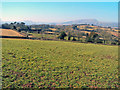 Arable land near Brynderi