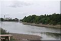 River Thames upstream of Barnes Bridge