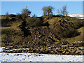 Landslip west of village of Rookhope