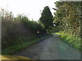 Road narrowing on the way to Wiston