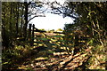 SS4931 : A gate on the path from Bickleton to Yelland by Roger A Smith