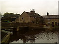 Silsden duck pond