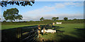 Fields near Newhouse Farm