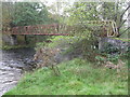 Footbridge over the Afon Clywedog north-west of Llanidloes