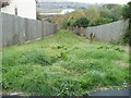 Grassy descent from Trinity View, Caerleon