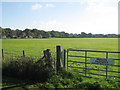 Fields by Deanland Wood Park