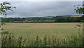 Farmland near Serrington