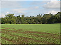NY9168 : Farmland south of the River North Tyne near Wall (2) by Mike Quinn