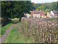 Footpath to Oxshott