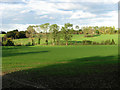 View across fields south-east of Westhall