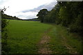 Looking up the valley east of Cuckoo Wood