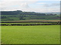 Farmland east of Fourstones