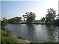 View across the Thames towards Windsor Racecourse