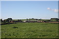 Cow Pasture near Queenshill Manor