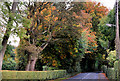Dunmurry Lane, Dunmurry (2)