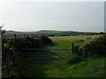 Farmland, near Ffynnon Druidion