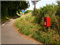 Tarrant Gunville: postbox № DT11 54